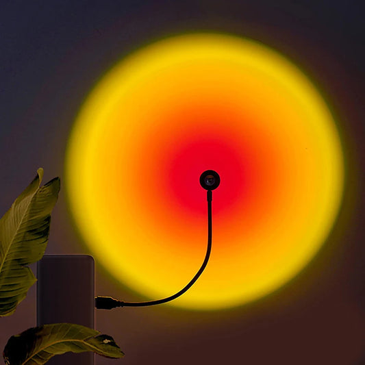 Efecto de atardecer proyectado en pared oscura con plantas